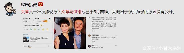 文章马伊琍离婚