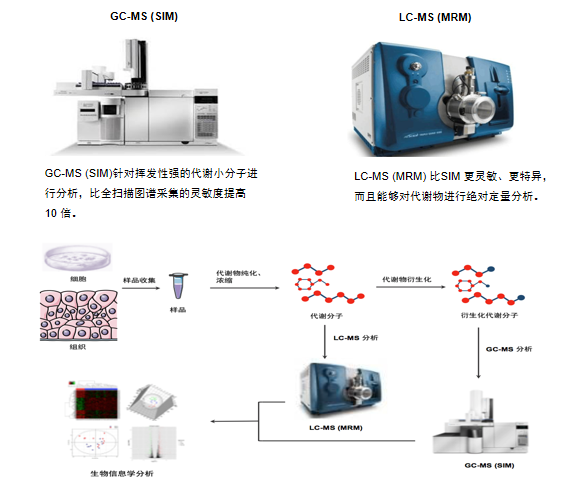 非靶向代谢组学技术平台及实验流程