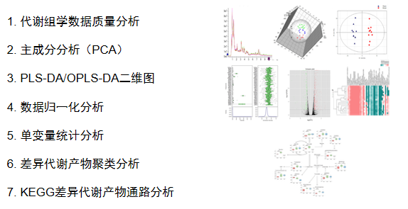 生物信息学分析有哪些方法