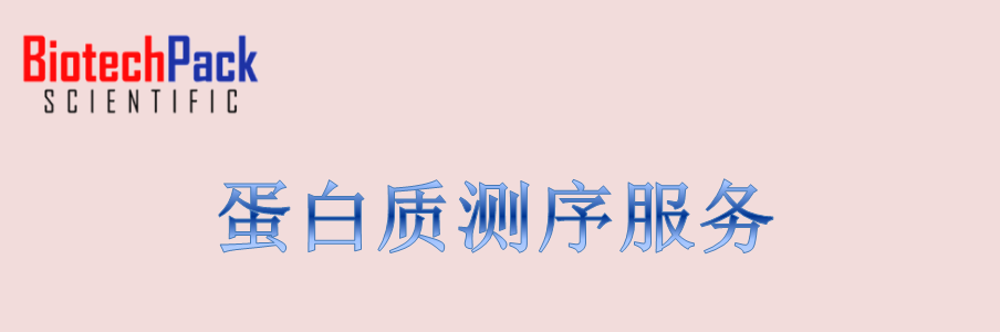 蛋白质测序服务年中促销活动