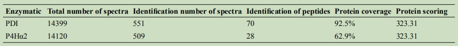 表1.PDI和P4Hα2的质谱鉴定信息统计（表格来自原文献）
