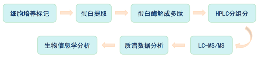 目前较主流的定量蛋白质组学方法有5种，分别是Label-free、iTRAQ、SILAC、MRM(MRMHR)、和SWATH。