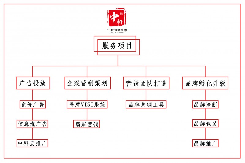 服务项目-新版